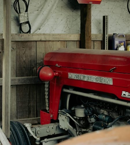 A close-up view of a vintage Massey Ferguson tractor inside a rustic wooden barn.